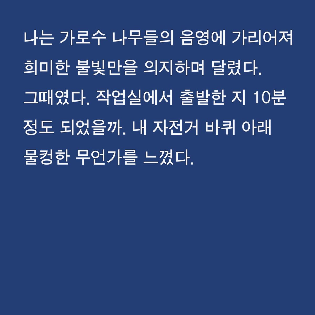 ryueunji's tweet photo. 브런치 주간 연재 | 화요일의 초단편 소설(5) 다섯 번째 이야기는 <고양이>입니다. 

이 이야기는 5~6년 전 작업실 생활을 할 때,  매일 새벽에 자전거를 타고 40분 정도 걸리는 집까지 퇴근을 하곤 했는데, 그때 떠오른 소재를 쓴 글이었습니다. 다시 다듬었어요. 재밌게 읽어주시면 좋겠네요! https://t.co/4uFCJTPYsn