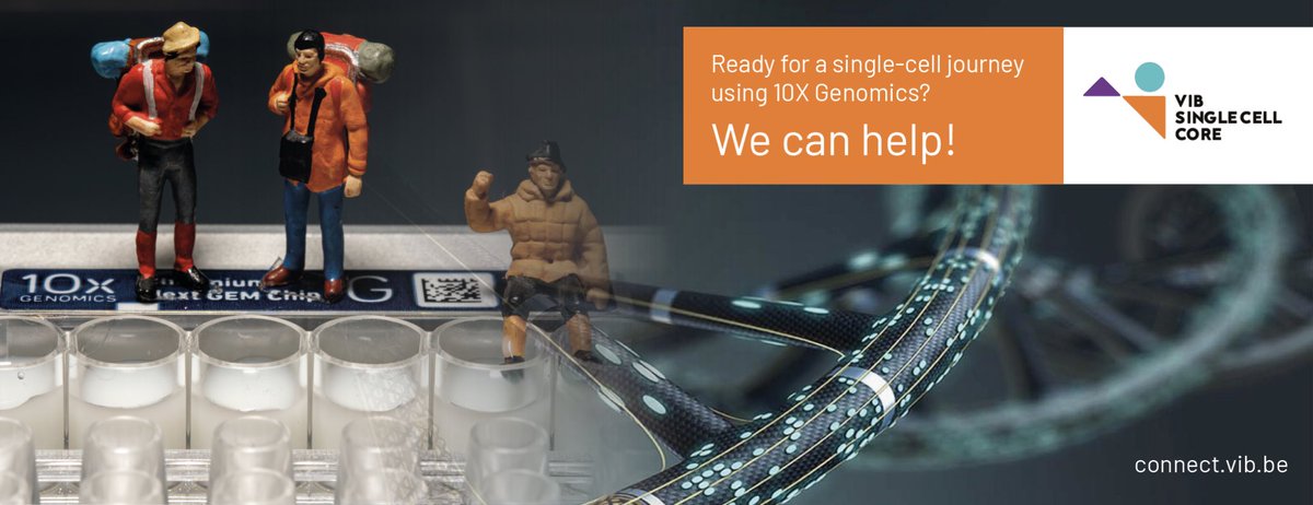 VIB Single Cell Core (@vibsinglecell) on Twitter photo Triggered by <a href="/JensDurruthy/">Jens Durruthy</a> presenting the newest #singlecell assays? We can help! Come and see <a href="/VIBSingleCell/">VIB Single Cell Core</a> at the Technologies booth. @VIBConferences #RNGS23 @10XGenomics. Triggered by <a href="/JensDurruthy/">Jens Durruthy</a> presenting the newest #singlecell assays? We can help! Come and see <a href="/VIBSingleCell/">VIB Single Cell Core</a> at the Technologies booth. @VIBConferences #RNGS23 @10XGenomics.