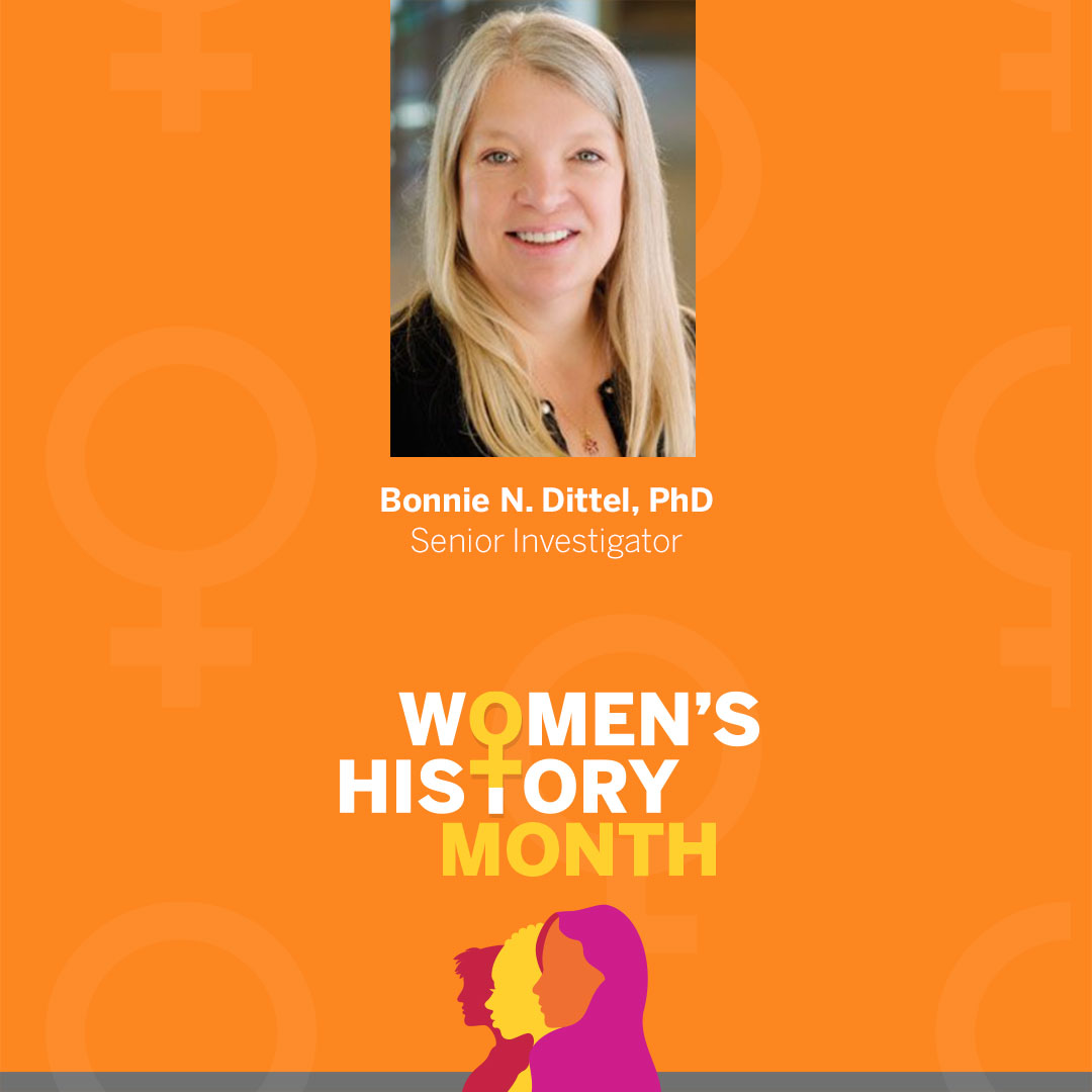 This #WomensHistoryMonth, give blood in honor of women in blood banking history like Versiti’s Bonnie Dittel, PhD, who discovered a subset of B cells that regulates autoimmunity and inflammation: bitly.versiti.org/3Yhc80K