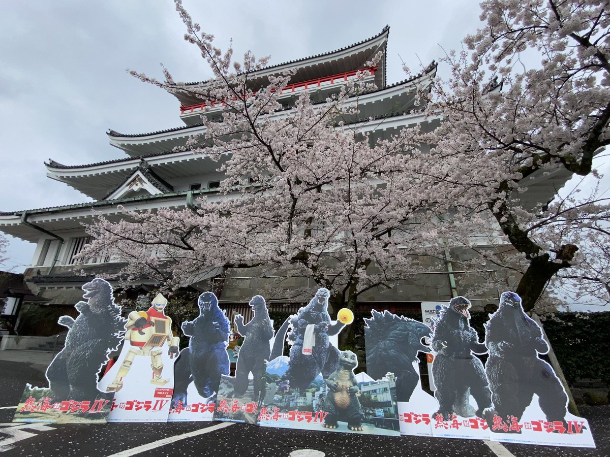 今熱海は桜が綺麗ですよ！

タイミング良く皆さん集まってたので記念に集合写真！

＃熱海対ゴジラ