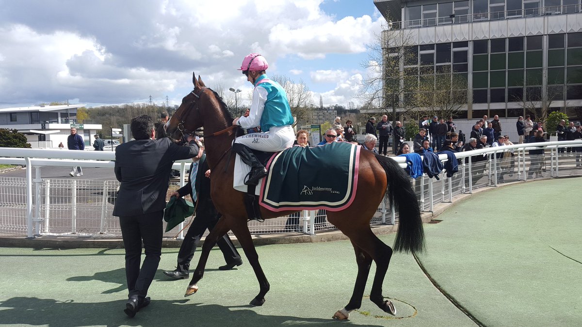 seenthestars's tweet photo. #Halfwayline 's dam Midweek ahead of the 2016 Prix Imprudence https://t.co/esuAuj0I2q