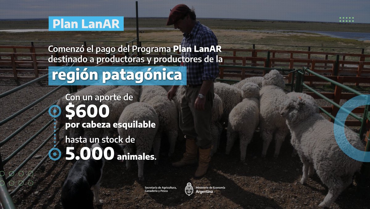 agriculturaar's tweet photo. Plan #LanAR 🐑
Se acreditaron los primeros pagos a más de 700 productores y productoras del Plan LanAR, la iniciativa permite estimular la producción, el desarrollo y el fortalecimiento de la cadena. https://t.co/9MRwOksuow