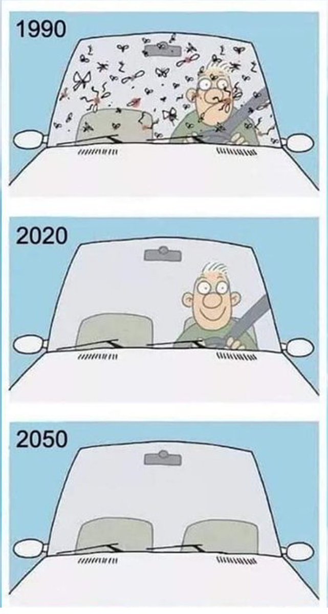 fietsprofessor's tweet photo. In the windshield perspective we are driving happily...
...towards mass extinction. https://t.co/2bvPgv9Feo