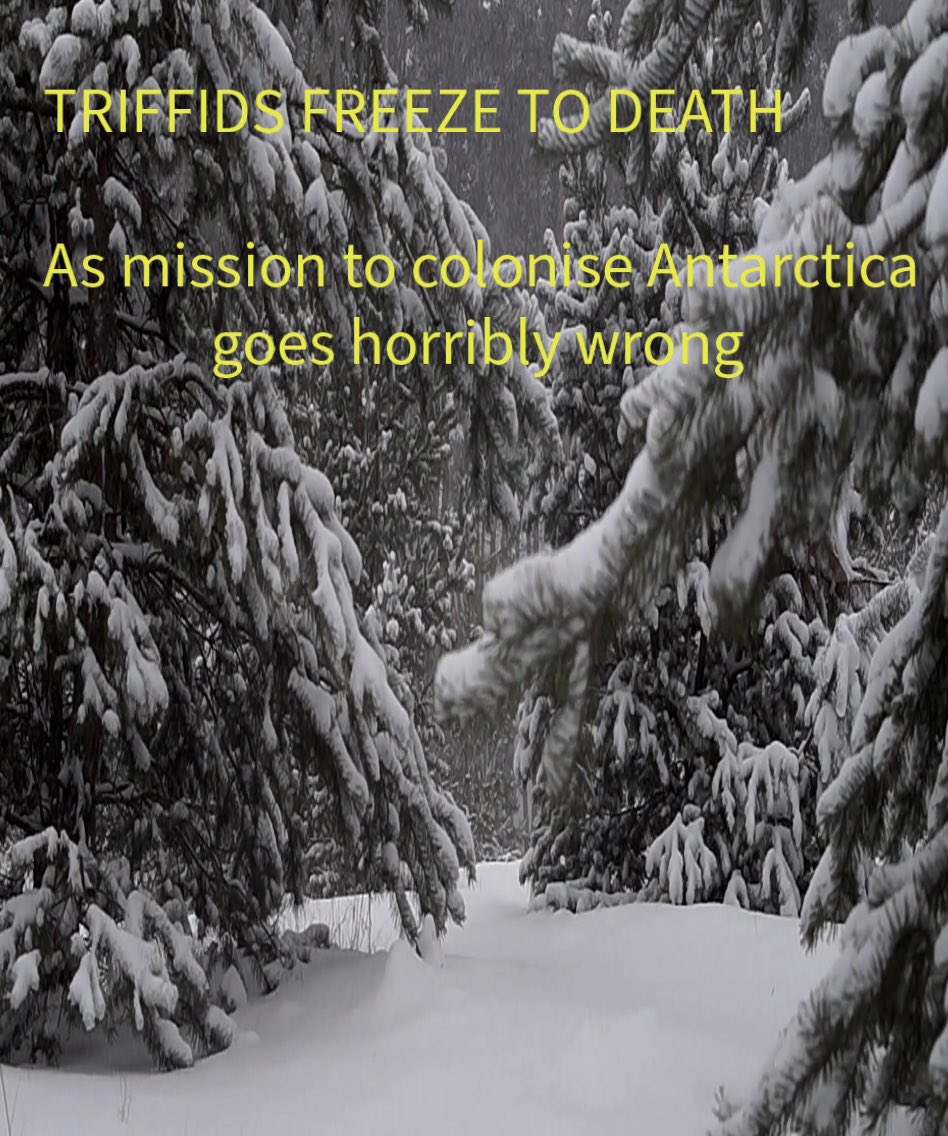 MiniRag (@minirag1) on Twitter photo 