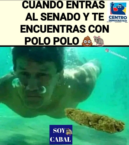 Barush89119666's tweet photo. @MiguelPoloP Hum....el negrero mayor hablando de amarillistas ! https://t.co/6ImrGSR37F