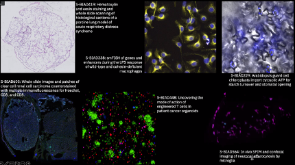 Euro-BioImaging ERIC tweet media