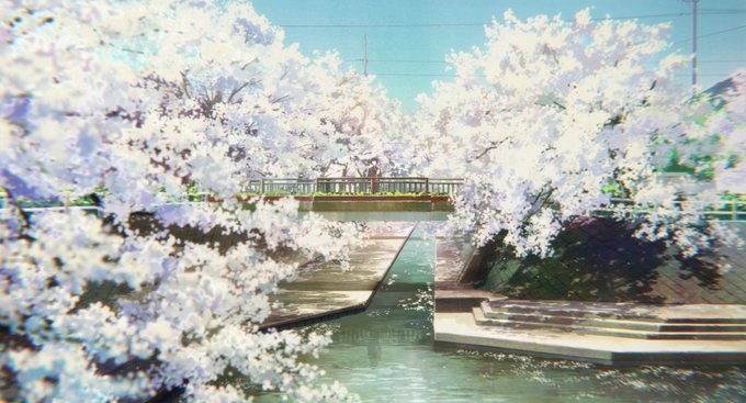 桜が咲いている大垣にずっと行きたかったです！満開桜の下にパンを持てば絶対硝子に会えると思っていました（笑）。＃聲の形＃聖