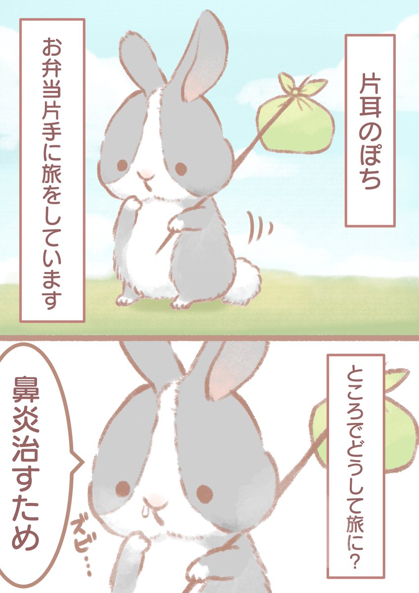 うさぎの鼻炎は一生治らないらしい https://t.co/t0jPVpfb2d 