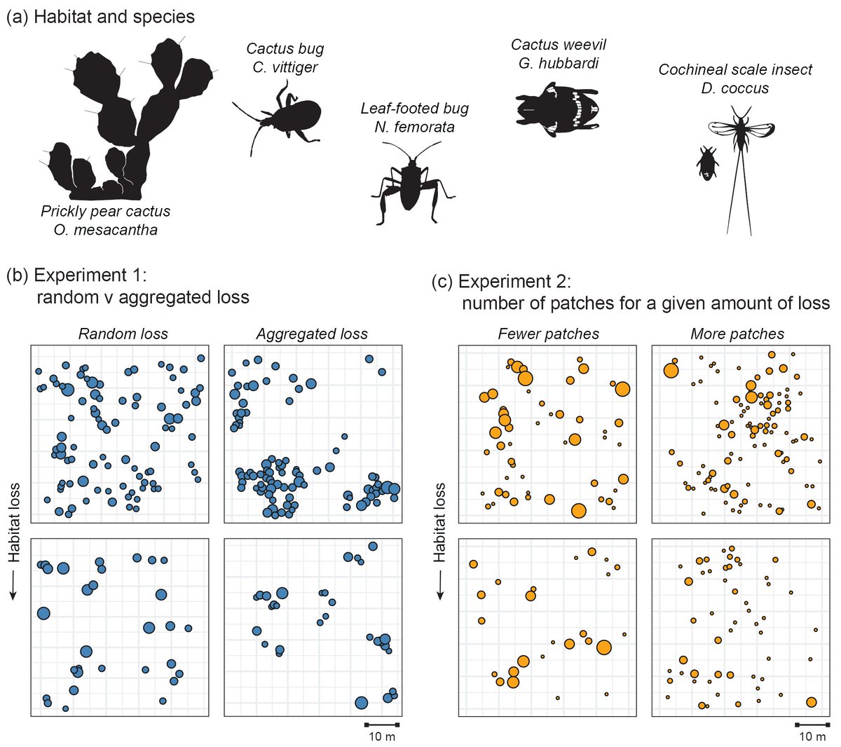 Ecological Society on Twitter: "RT @ESAEcology: New in @ESAEcology ... Biology Diagrams