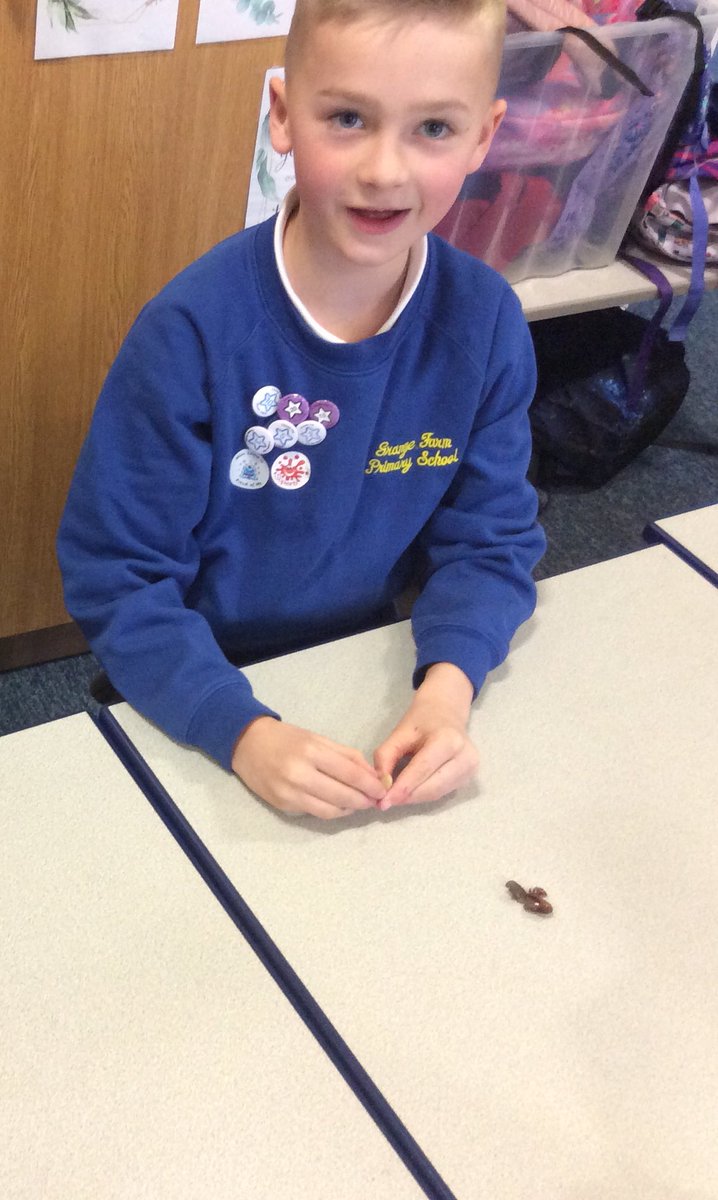 gfprimarycov's tweet photo. 2L have been dissecting seeds this afternoon to learn more about how plants germinate. They’ve also been looking at the similarities and differences between seeds and bulbs. #GFYear2 #GFScience https://t.co/ZECXZHVhZa