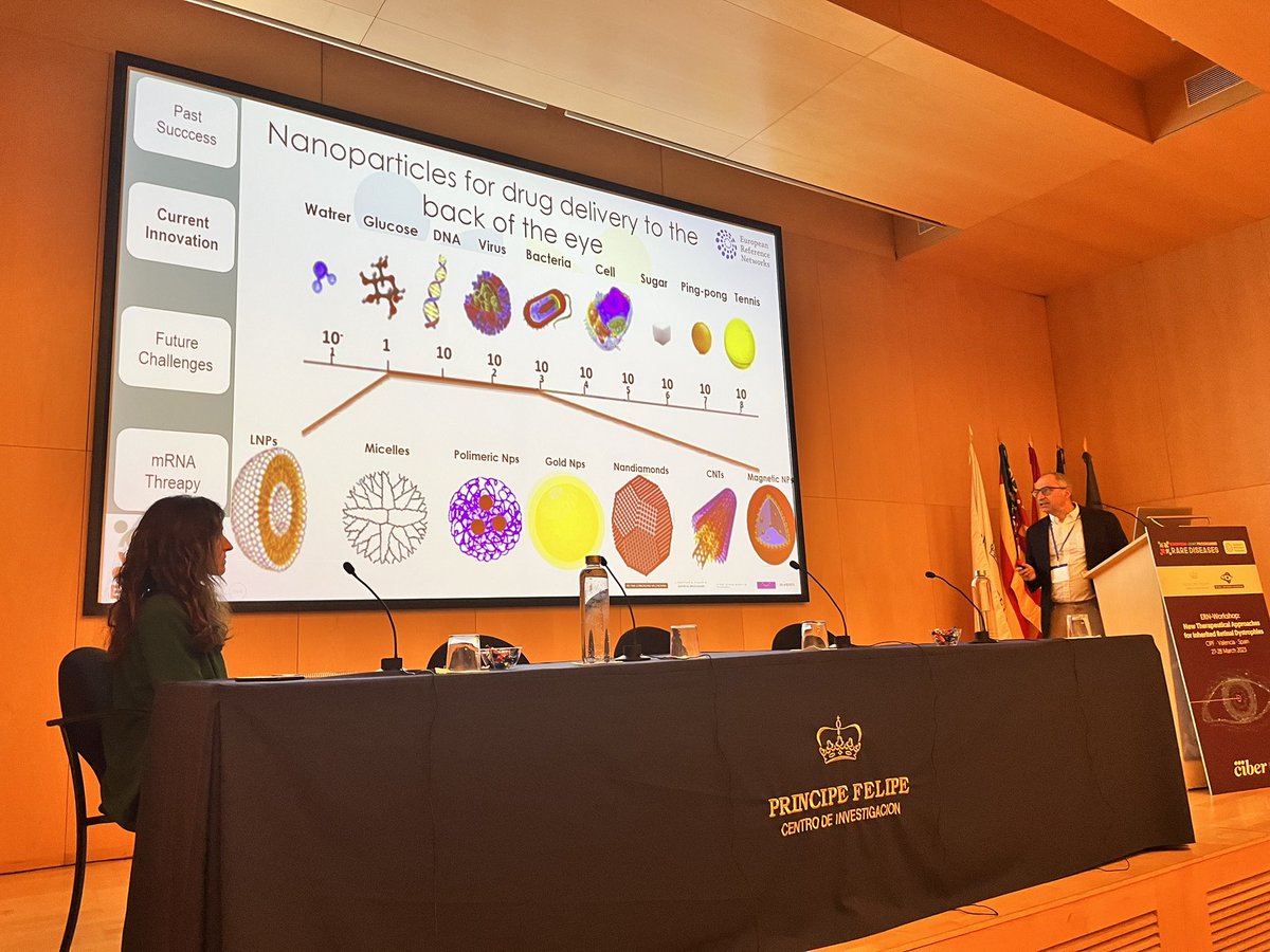 AnaPilarGomez's tweet photo. Talk 15 #ERNworkshop #retinaldyatrophies
Dr. Gustavo Puras from @Hitz_zentroa introduces drug delivery system to carry therapies to the eye. We need us to optimise promising potential therapies for IRD. We need to collaborate with them!
@CIPFciencia @ReginaRodrigo_ @CIBERBBN https://t.co/UHhpngjBp2