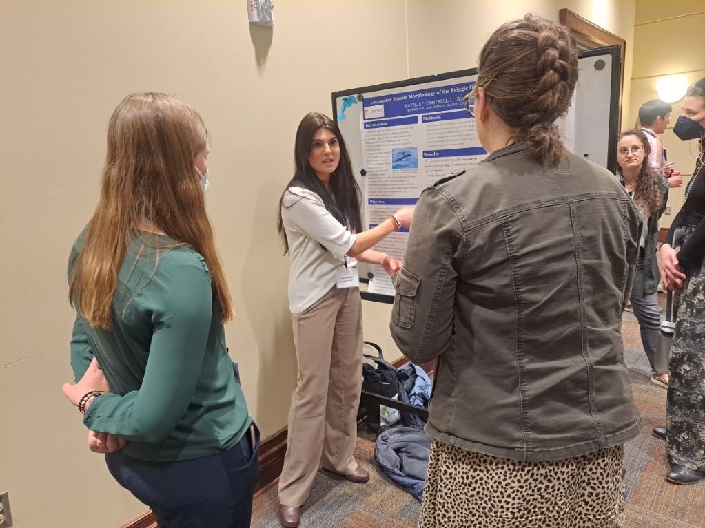 Congrats to Savanna Watts for winning Third Place Overall Undergraduate Presentation at the Southeast and Mid-Atlantic Marine Mammal Symposium (SEAMAMMS) at the University of South Alabama! Savanna presented her research of the locomotor muscles of spinner dolphins.