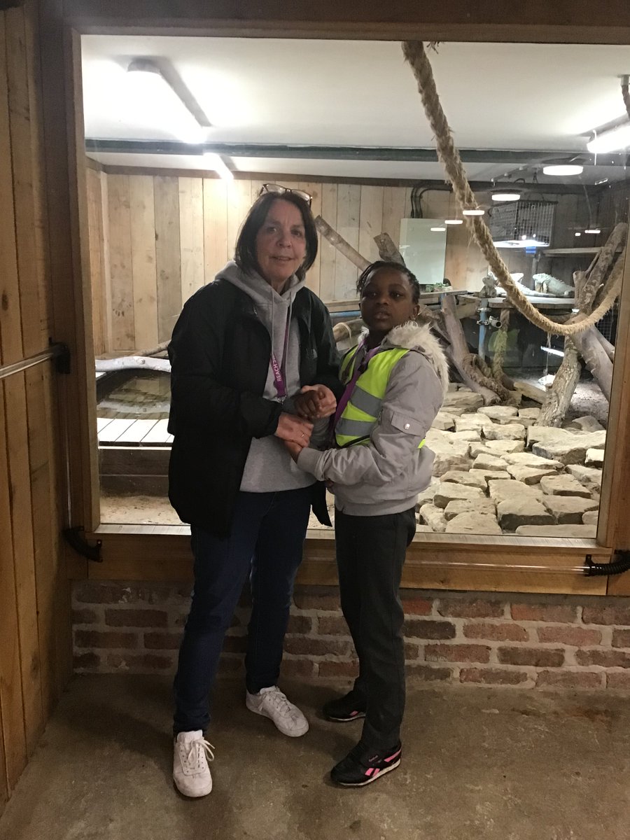 ReachPrimary's tweet image. Canon hall farm trip with Coral Reef 🐑🐢 #engage #experientiallearning #fundaysout