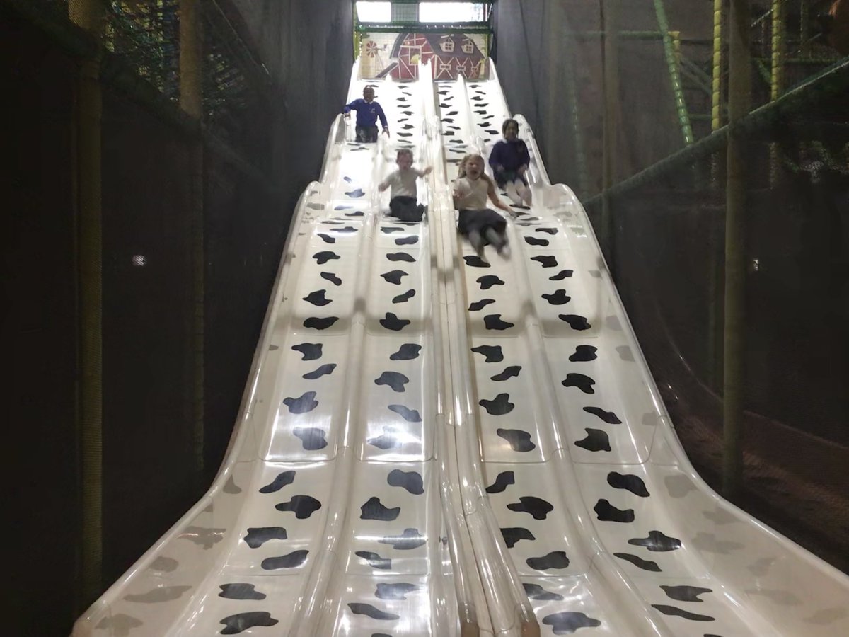 ReachPrimary's tweet image. Canon hall farm trip with Coral Reef 🐑🐢 #engage #experientiallearning #fundaysout