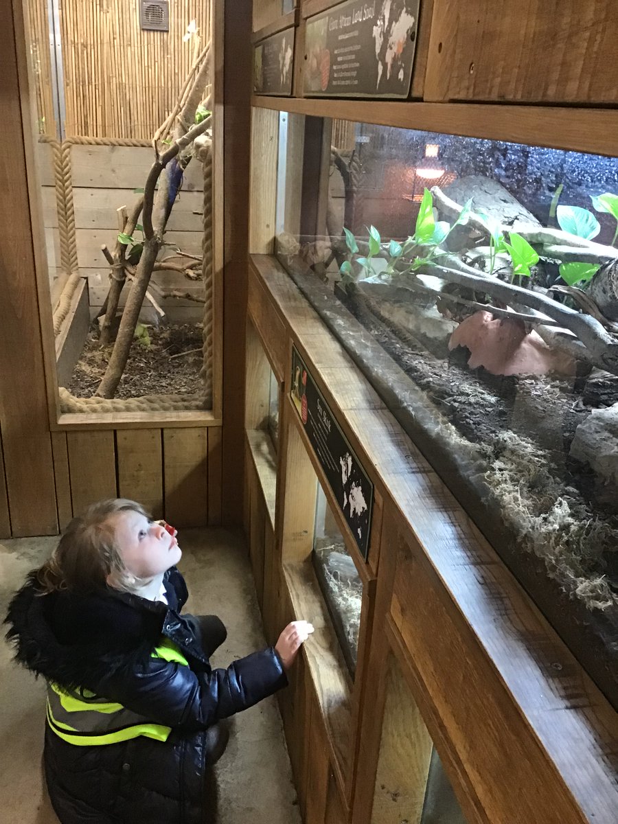 ReachPrimary's tweet image. Canon hall farm trip with Coral Reef 🐑🐢 #engage #experientiallearning #fundaysout