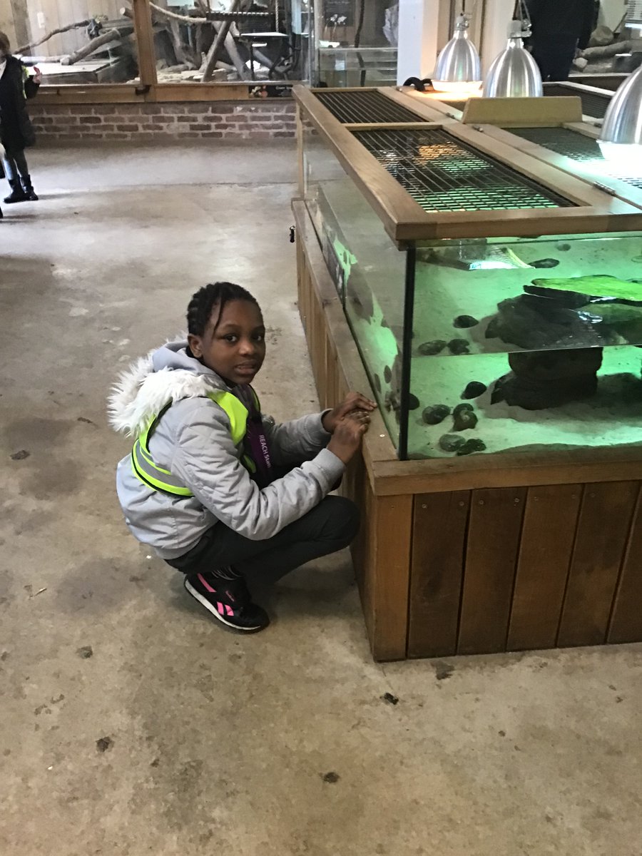 ReachPrimary's tweet image. Canon hall farm trip with Coral Reef 🐑🐢 #engage #experientiallearning #fundaysout