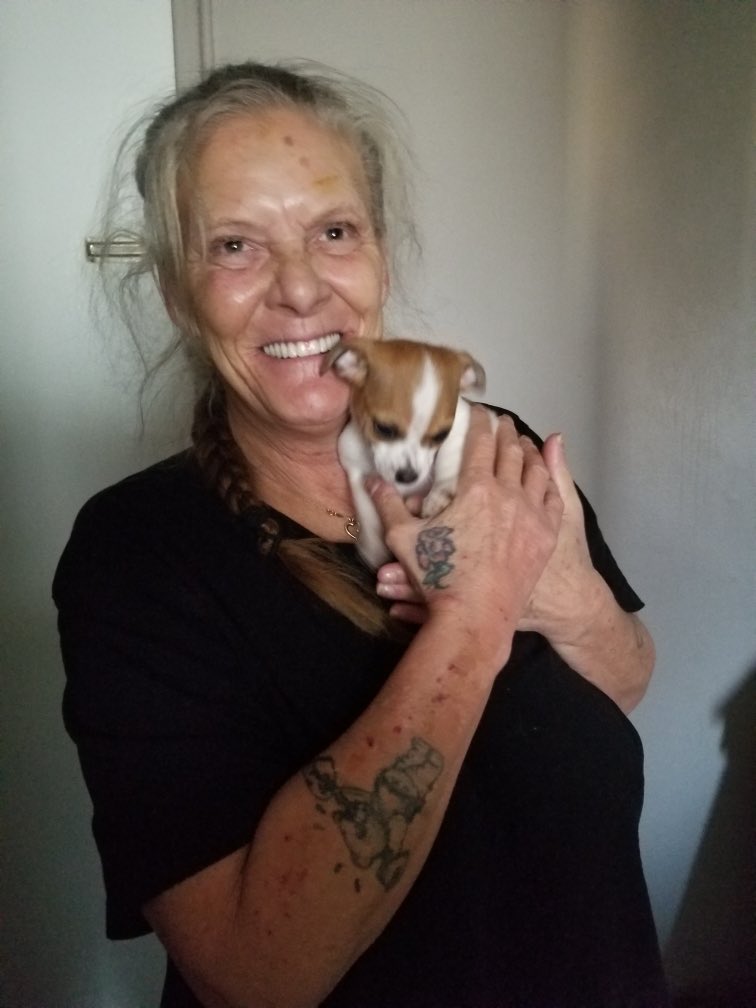 debdougmorley's tweet photo. I went blind at 49 and had 2 strokes. Savana and Samantha keeps me going everyday . These are my babies. Without them I be lost. https://t.co/qKCZvnUODx