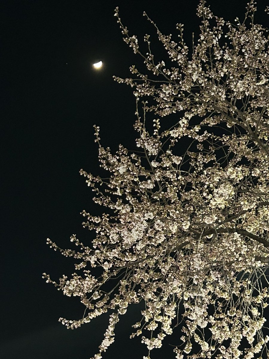 이거완전 은혼이잖냐!!!!