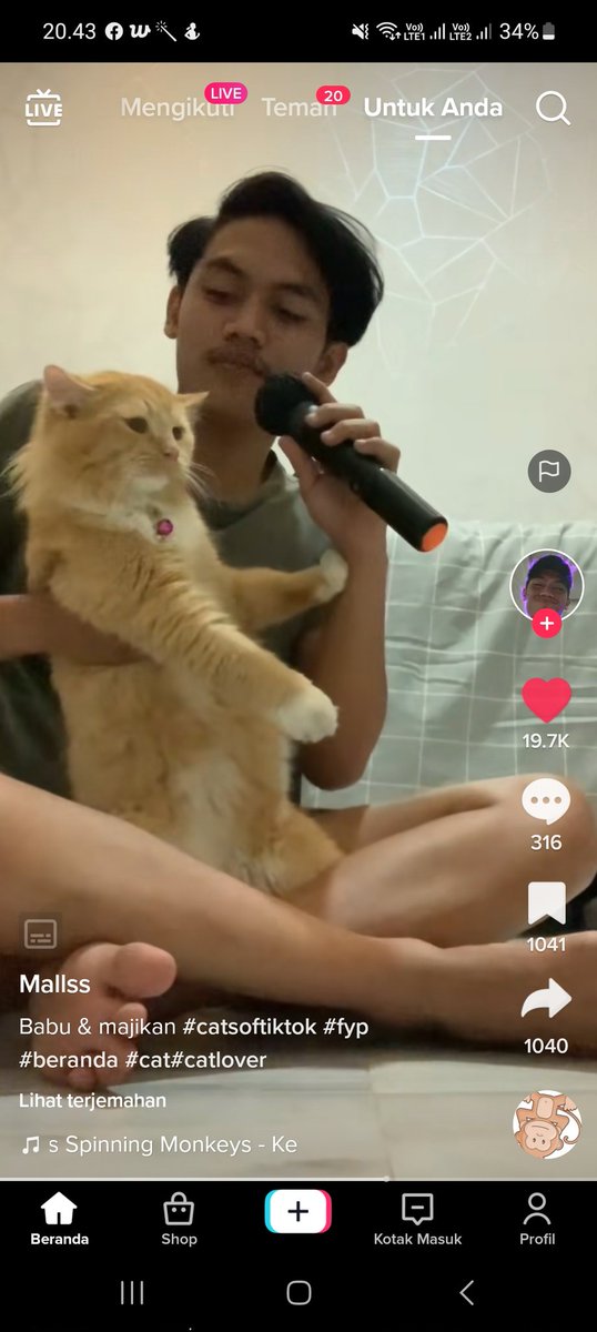KochengFess v2 tweet media