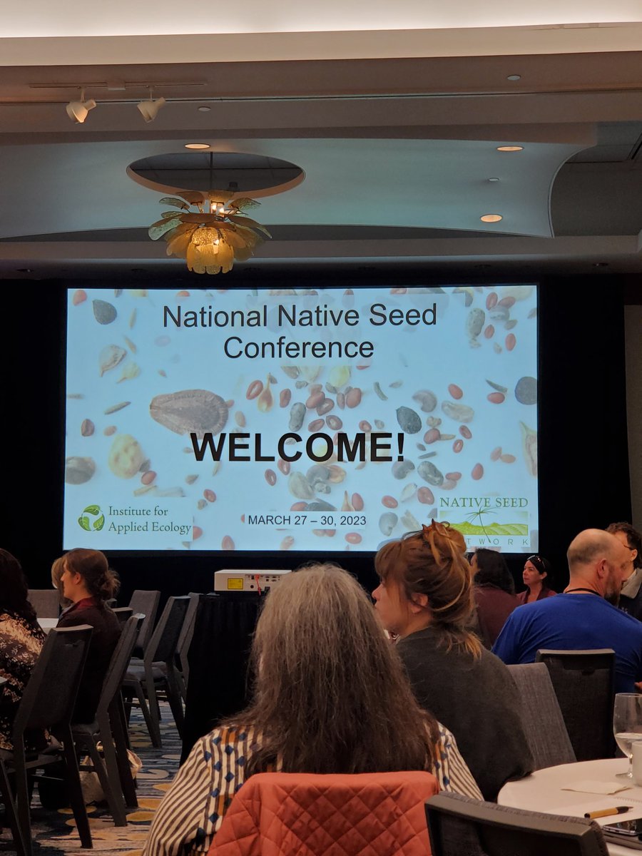 Gcell_garza's tweet photo. At the National Native Seed Conference where seeds are connecting over 500 people who recognize the importance of seeds for restoration and a climate resilient future. https://t.co/eC5FSPOF56