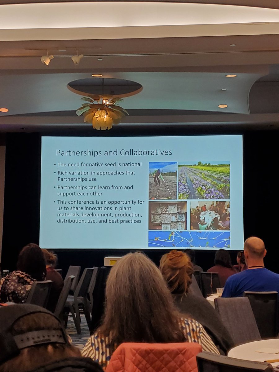 Gcell_garza's tweet photo. At the National Native Seed Conference where seeds are connecting over 500 people who recognize the importance of seeds for restoration and a climate resilient future. https://t.co/eC5FSPOF56