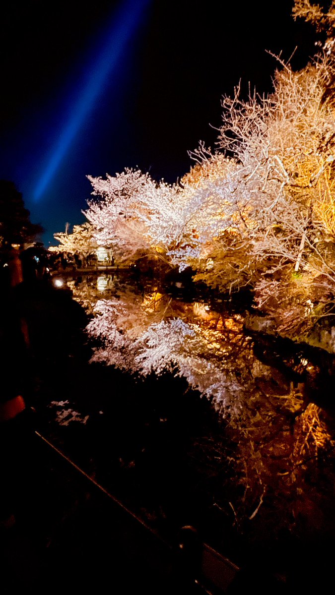 chi30022's tweet photo. 反転世界の写真初めて撮れた。

#写真好きな人と繋がりたい
#カメラ好きな人と繋がりたい
#ファインダー越しの私の世界
#キリトリセカイ
#京都
#京都観光 https://t.co/s4LpZbzT3j