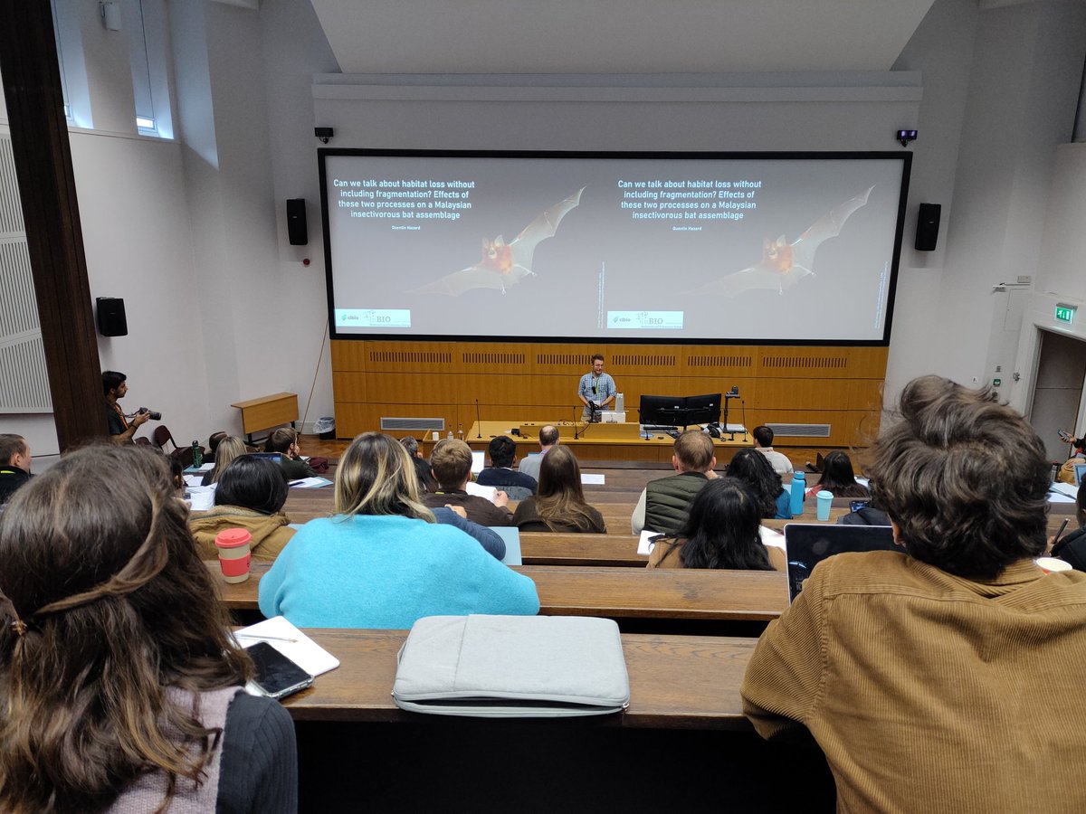 Our colleague <a href="/quentin_hazard_/">Quentin Hazard</a> talked about the effects of #habitatloss &amp; fragmentation on Malaysian #bats at #SCCS2023 
🦇🦇
<a href="/Ratpenats_Cat/">Programa de Seguiment de Ratpenats</a> <a href="/CIBIO_InBIO/">BIOPOLIS-CIBIO</a> <a href="/JSPFroidevaux/">Jeremy Froidevaux</a> <a href="/RicardoNature/">Ricardo Rocha</a> @TallyYoh