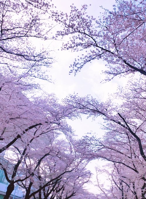 Twitterのコスプレ画像26