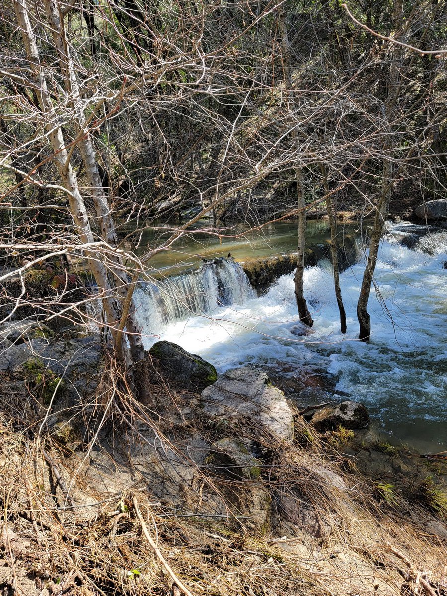 Petros Chrysafis tweet media