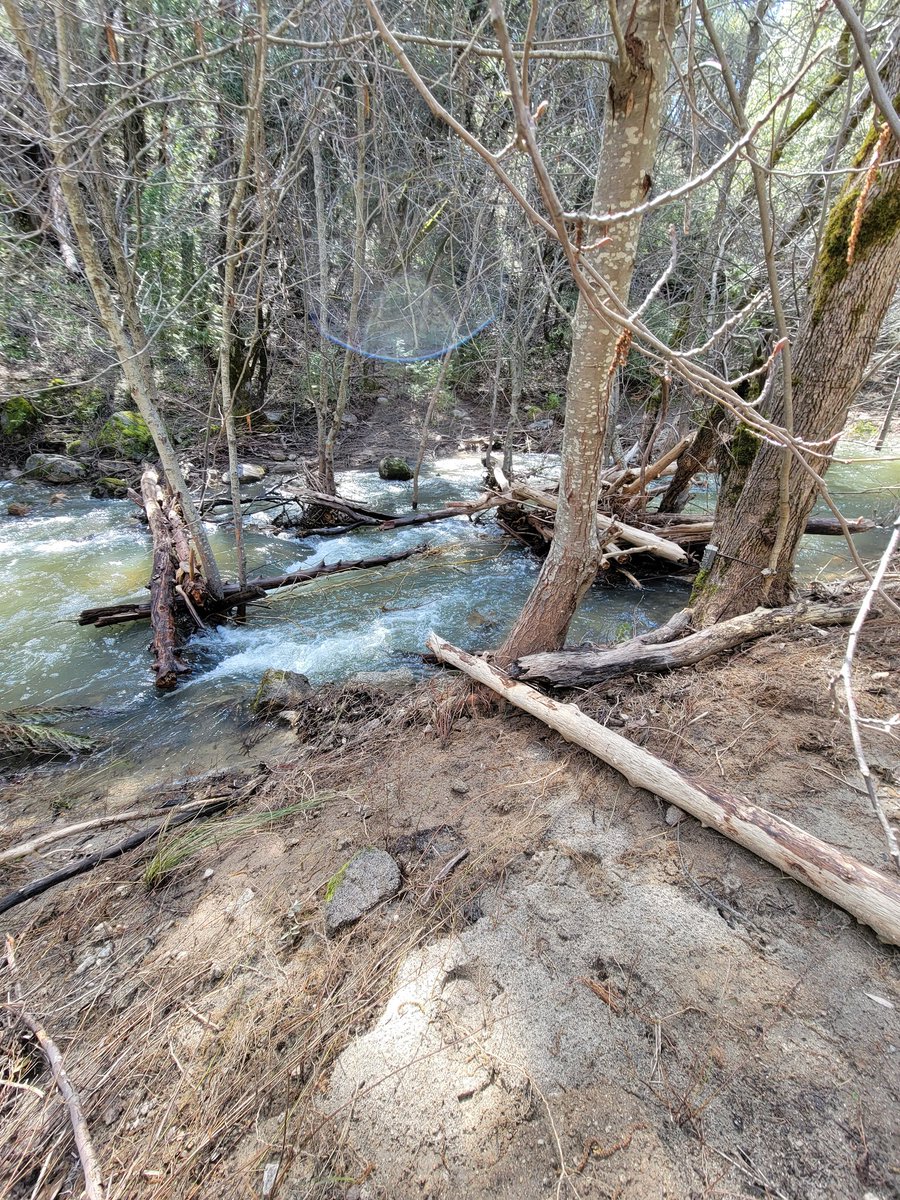 Petros Chrysafis tweet media