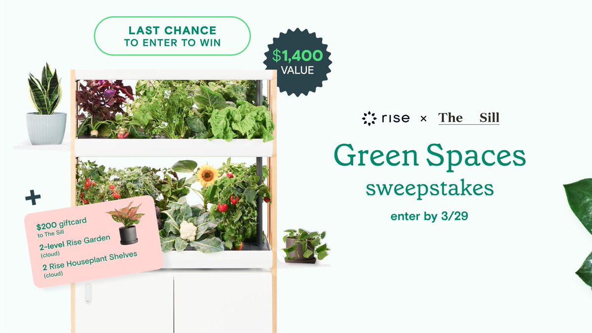 Rise Gardens (@risegardens) on Twitter photo Today is the last day to enter our sweepstakes with <a href="/TheSill/">The Sill</a>! 
Enter here: risegardens.com/pages/risexthe…
#gardeningtwitter #plants #houseplants Today is the last day to enter our sweepstakes with <a href="/TheSill/">The Sill</a>! 
Enter here: risegardens.com/pages/risexthe…
#gardeningtwitter #plants #houseplants