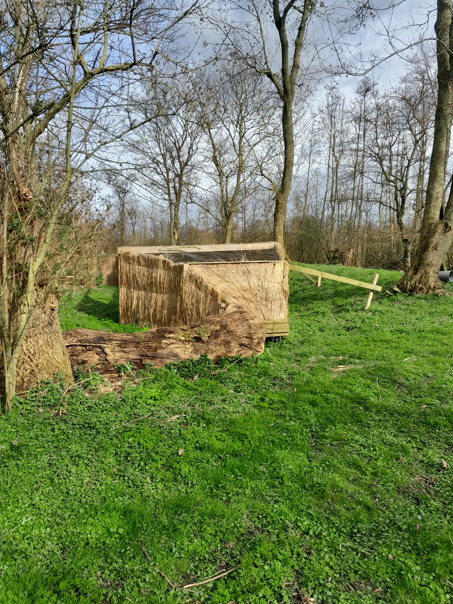 JanPietdeBoer's tweet photo. Vandaag een heerlijke werkdag met bezoek aan 2 Fryske Gea-eendenkooien (Anjum) en 2 stinzenfloratuinen (Twijzel) @ItFryskeGea https://t.co/TwPl30eTgd
