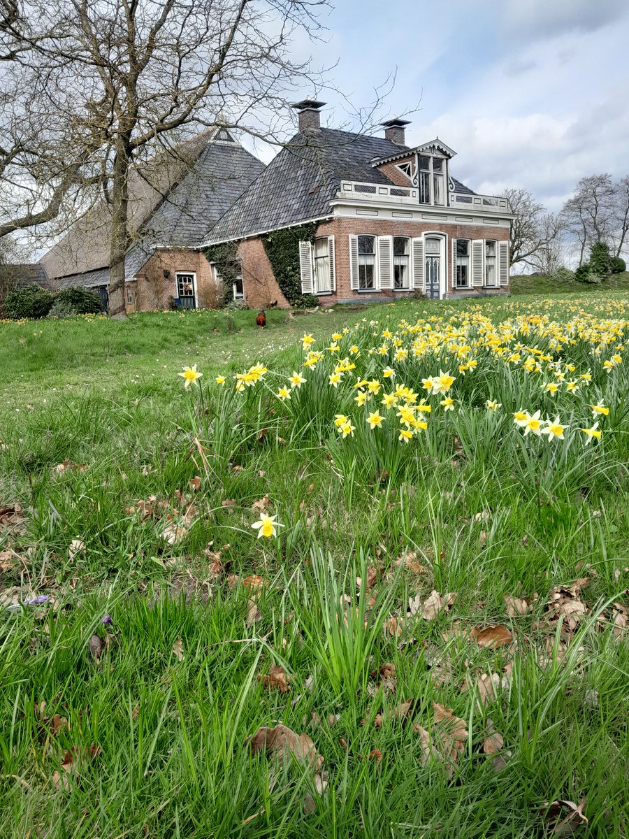 JanPietdeBoer's tweet photo. Vandaag een heerlijke werkdag met bezoek aan 2 Fryske Gea-eendenkooien (Anjum) en 2 stinzenfloratuinen (Twijzel) @ItFryskeGea https://t.co/TwPl30eTgd