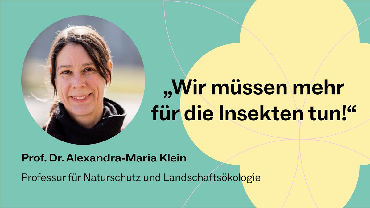 UniFreiburg's tweet photo. #Expertendienst #Blühflächen: „Wir haben viel zu wenig Blühflächen für unsere #Wildbienen, aber auch für andere Insekten“, sagt Prof. Dr. Alexandra-Maria Klein @naturealexk, Professorin für #Naturschutz und Landschaftsökologie an der @UniFreiburg. https://t.co/kbJCqtIqbx https://t.co/Gnwxj1NB6O