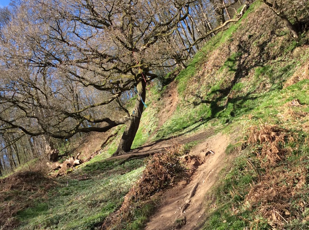 AppleySaintsCE's tweet photo. #ABASY6 went round Fairy Glenn yesterday afternoon, looking to find inspiration for a secret #ABASArt project we are planning. More info for the community later!
We found some wonderful pictures of our local area and can’t wait to use them! #ABASPSHE @ABYyouthtrust https://t.co/Lpa2IN1kpR