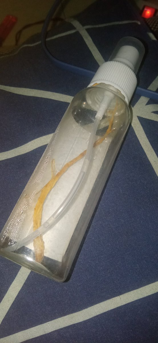 <a href="/otongkoil/">OTKOiL</a> Bismillah buat stock thrandual yg udah abiez mangots