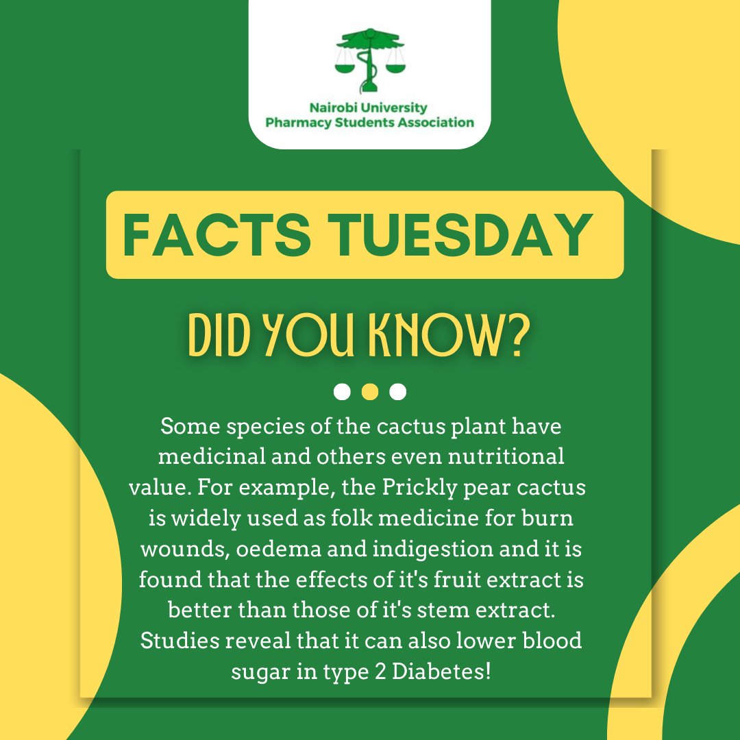 nupsauonbi's tweet photo. Cactus plants are mainly known for being succulent and thorny but there's more to them than their looks.
Interestingly, in Mexico, the prickly pear cactus was also used to reduce some symptoms that come with a hangover!
#factstuesday https://t.co/x0jUd4ys5P