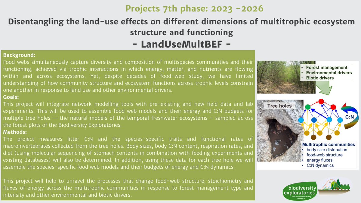 BExplo_research's tweet photo. What determines composition,#biodiversity and functioning of multitrophic communities? To what extent changes in ecosystem functioning are mediated by changes in food web structure? These questions LandUseMultBEF from @OBuzhdygan is asking with tree holes as a model system. https://t.co/6eslwo5v1b