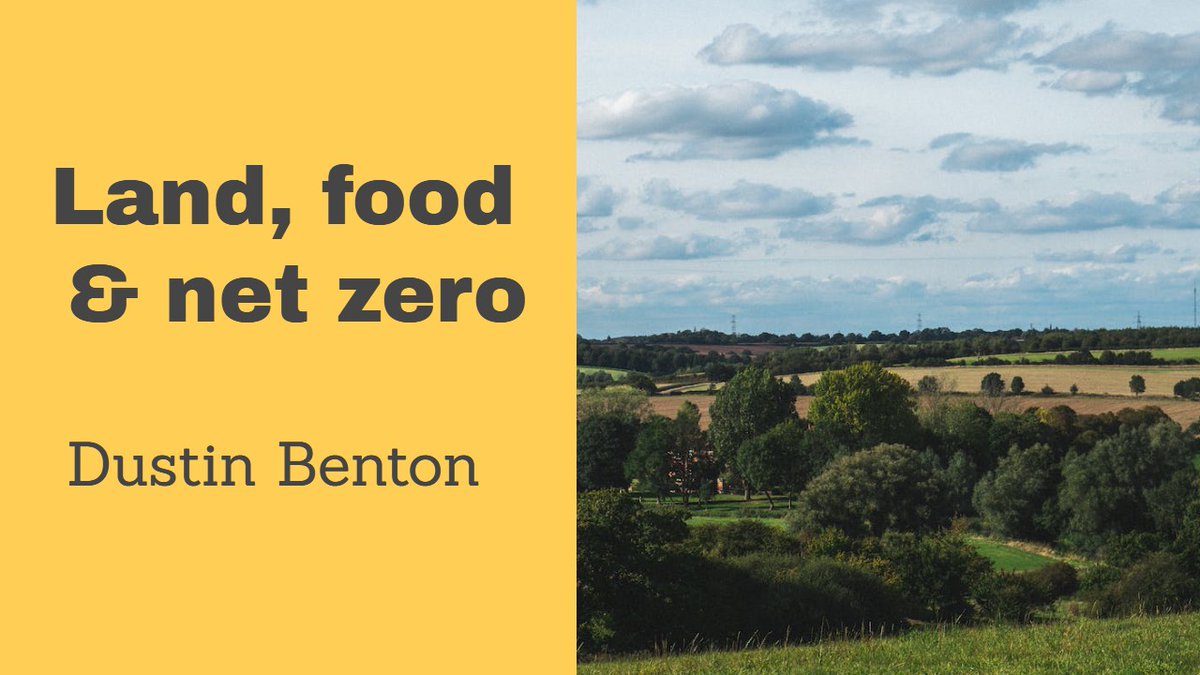 AFN Network+ tweet media