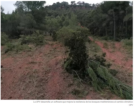 Ingeniería Forestal (@ingforestal50) on Twitter photo Antes los efectos del cambio climático sobre los bosques mediterráneos es necesario llevar a cabo actuaciones, con la mayor certeza posible, para reducir su impacto. Para ello, investigadores de la <a href="/UPV/">Universitat Politècnica de València</a> Universidad Politècnica de València (UPV) han europapress.es/comunitat-vale… Antes los efectos del cambio climático sobre los bosques mediterráneos es necesario llevar a cabo actuaciones, con la mayor certeza posible, para reducir su impacto. Para ello, investigadores de la <a href="/UPV/">Universitat Politècnica de València</a> Universidad Politècnica de València (UPV) han europapress.es/comunitat-vale…