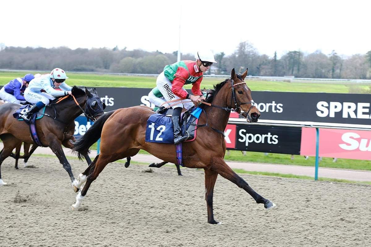 ahaynesracing's tweet photo. ๐ข๐ด WALEYFA ๐ข๐ด
Great to see Waylefa get her head in front on her stable debut under a great ride from @thorehammer_ well done to all connections #AHteam #AHracing https://t.co/CZh19U1xq5