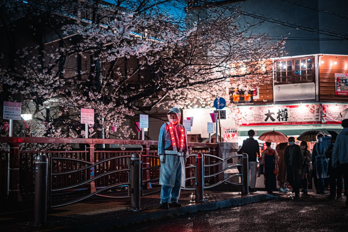 YTphotography1's tweet photo. 東京の夜桜が美しい。 https://t.co/fMH0vQsCKW