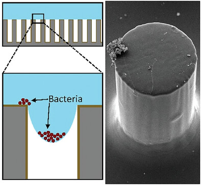 Crick Group tweet media