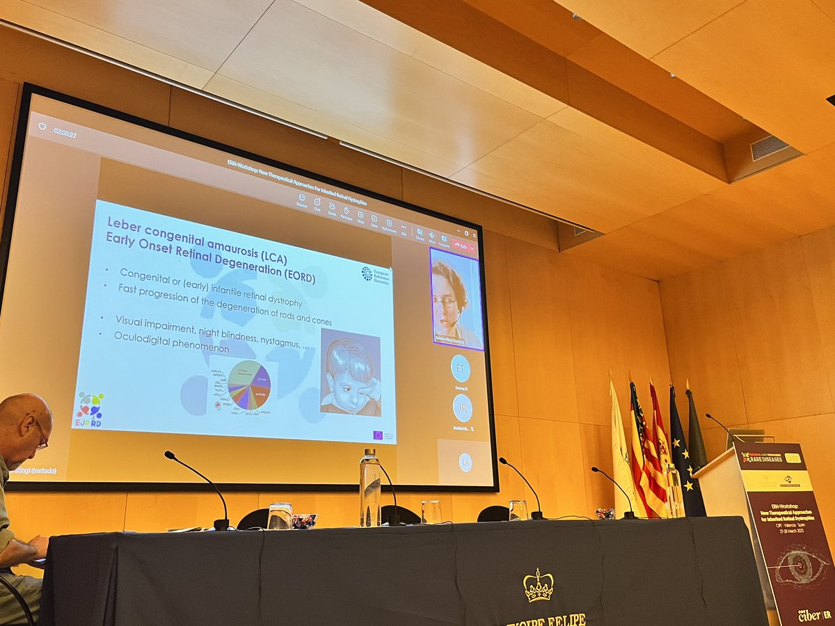 AnaPilarGomez's tweet photo. Talk 11 #ERNworkshop #retinaldystrophies
Dr. Katarina Stingl from University Eye Hospital tells us safety and efficacy about approval Luxturna gene therapy for restored RPE65 function
@CIPFciencia @CIBERER @ReginaRodrigo_ https://t.co/yE1GardpDR