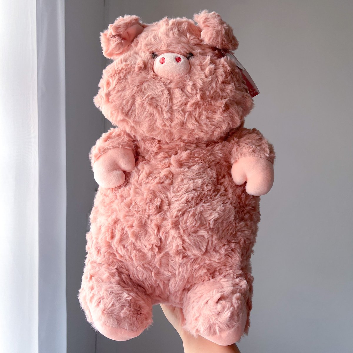 jjustShop's tweet photo. พร้อมส่งค้าบบบ
น้องหมู🐷🐽 40cm
ค่าตัวน้อง650฿ ส่งฟรีค่าาา
🎁เขียนการ์ดฟรีน้า
#ตุ๊กตา #ของดีบอกต่อ #ของขวัญวันเกิด #ของขวัญให้แฟน #พร้อมส่ง #ของดีบอกต่อ https://t.co/GaQ9zSCnp5