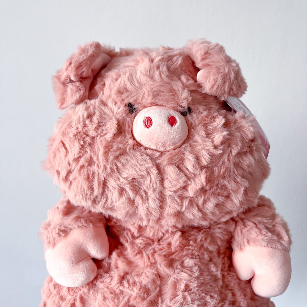 jjustShop's tweet photo. พร้อมส่งค้าบบบ
น้องหมู🐷🐽 40cm
ค่าตัวน้อง650฿ ส่งฟรีค่าาา
🎁เขียนการ์ดฟรีน้า
#ตุ๊กตา #ของดีบอกต่อ #ของขวัญวันเกิด #ของขวัญให้แฟน #พร้อมส่ง #ของดีบอกต่อ https://t.co/GaQ9zSCnp5