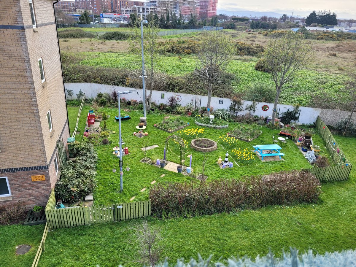 coophousingie's tweet photo. It was a beautiful day yesterday to visit the community garden in Newtowncourt created and maintained by Members. #CHIcommunity #CallingIn #CommunityGarden https://t.co/QwTmfc06r3