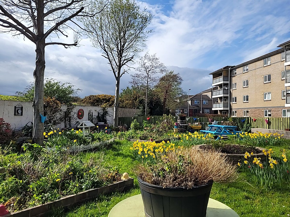 coophousingie's tweet photo. It was a beautiful day yesterday to visit the community garden in Newtowncourt created and maintained by Members. #CHIcommunity #CallingIn #CommunityGarden https://t.co/QwTmfc06r3