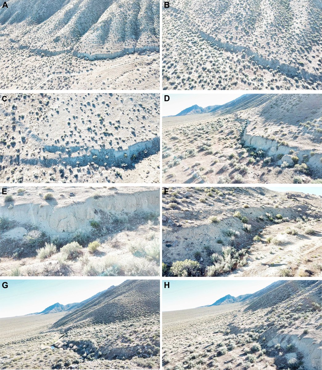 AndreuttiovaL's tweet photo. I just thought this should be shared! Some great photos of the Dixie Valley fault scarp we collected last year with @TomatronMitch and James https://t.co/4vRh4cXd9T