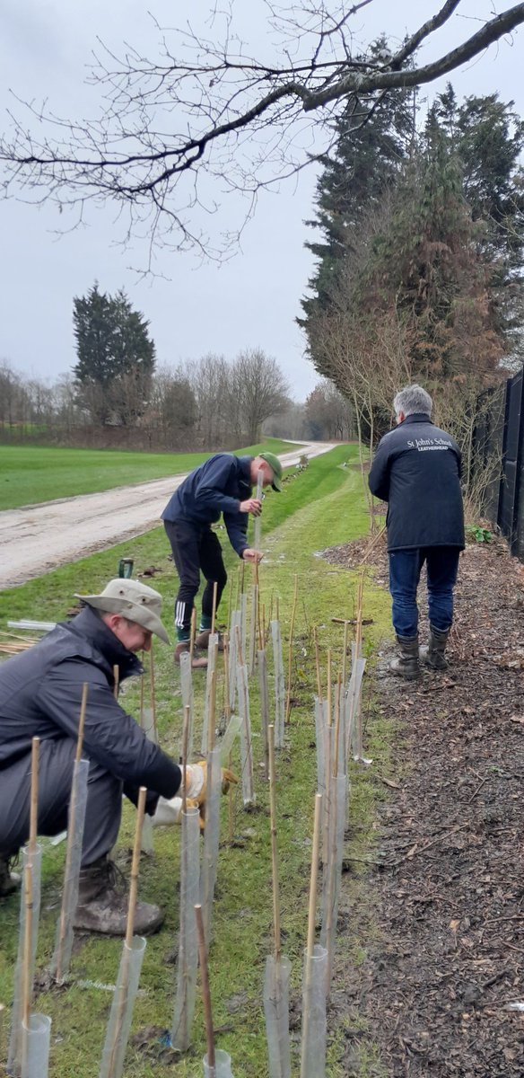 Nature lovers at St. John's! Thank you to the @WoodlandTrust for our saplings and thank you to the staff who have come out in the rain to help get them in the ground! <a href="/StJohnsSurrey/">St John's School, Leatherhead</a>